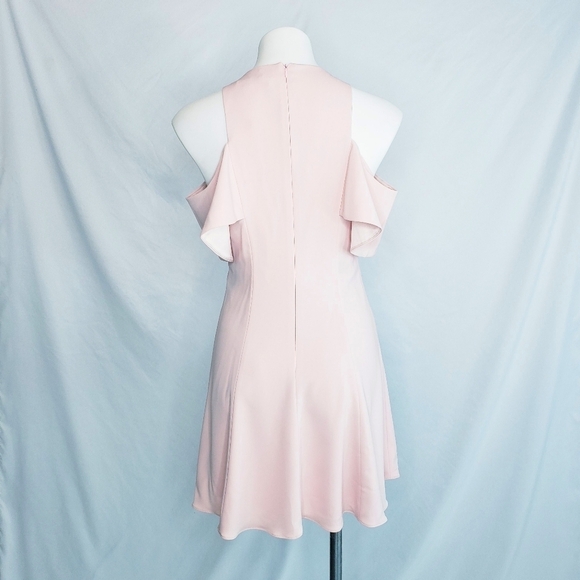JayGodfrey Ruffle Sleeve Fit & Flare Dress Pink - Picture 5 of 13